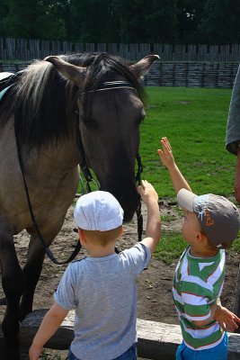 Children and horse