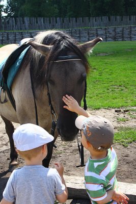 Friendly touch