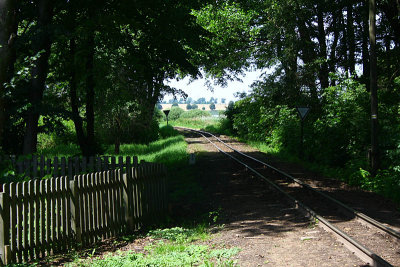 Narrow gauge railway track