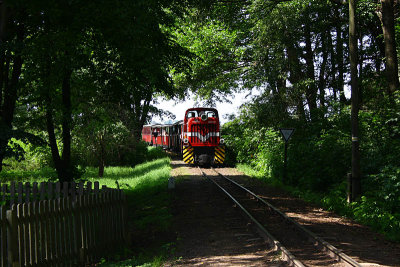 Train approaching into a station