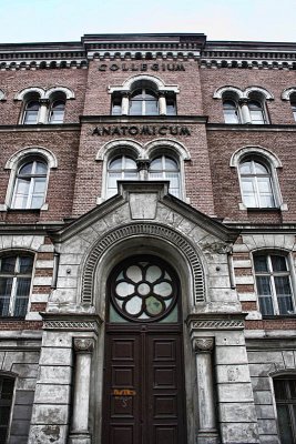Collegium Anatomicum