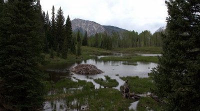 Crested Butte - May 2012