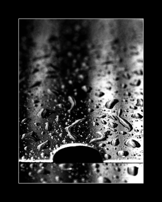 wet & shiny
