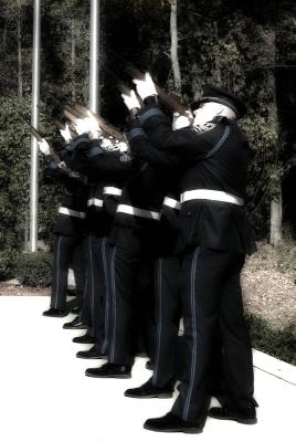 Veterans Day Ceremony - 21 Gun Salute
