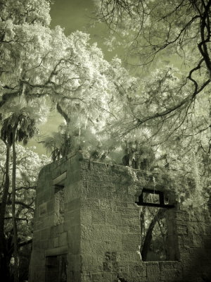 Bulow Plantation Ruins