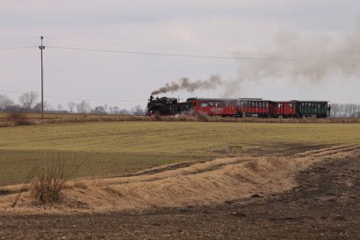 Gąsawa