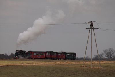 Gąsawa