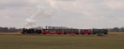 Gąsawa