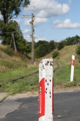 Ślimaki