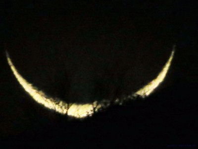 La Lune derrière les arbres  Antonio DE MORAIS  2012.jpg
