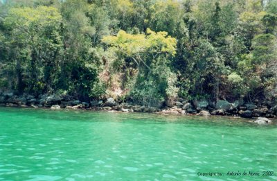 Île lointaine, vert  Antonio DE MORAIS  2002.jpg