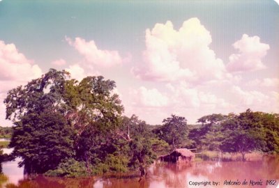 Le Pantanal  Antonio DE MORAIS  1982.jpg