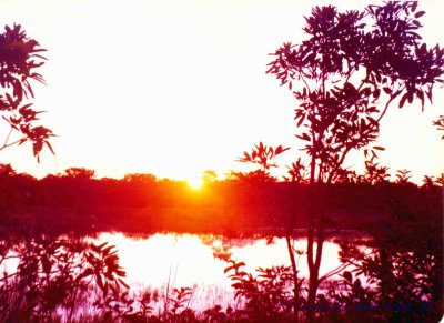 Le Pantanal, coucher du Soleil  Antonio DE MORAIS  1982.jpg