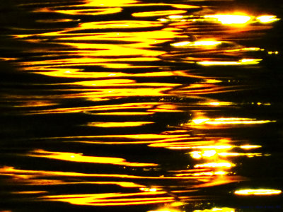 Réflexions sur l'eau, nuit  Antonio DE MORAIS  2012.jpg