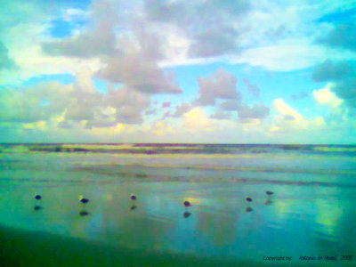 Nuages, mer avec des mouettes  Antonio DE MORAIS  2008.jpg
