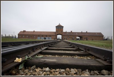 Railroad tracks on the way to Auschwitz 2- Birkenau