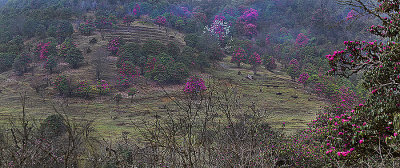 g4/61/871361/3/143857001.uOZOtQa5.jpg