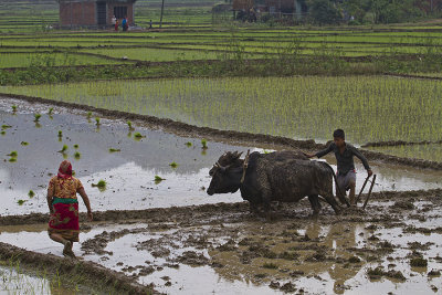 Road from Kathmandu to Pokhara