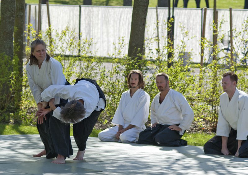 Aikido3.jpg