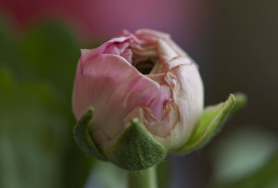 PICT0445.jpg
