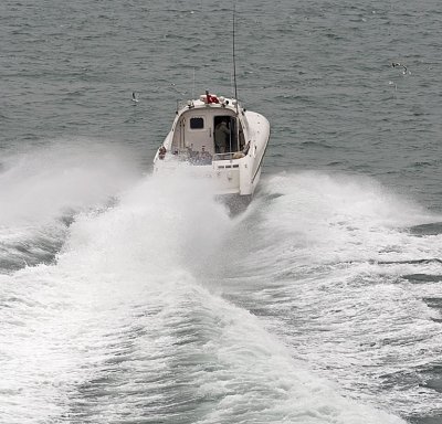 PICT0678.jpg