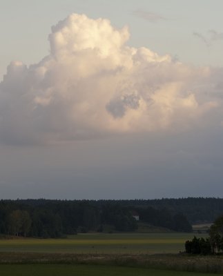 Braheholm.jpg