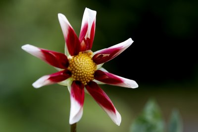 PICT4832.jpg