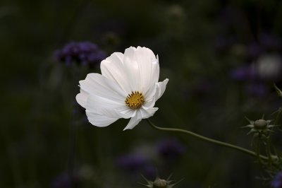PICT5773.jpg