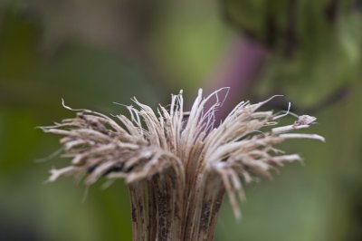 PICT8869.jpg