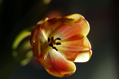 PICT0589.jpg