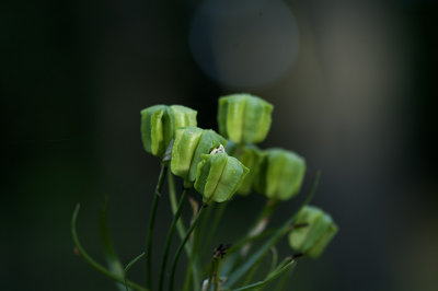 PICT0667.jpg