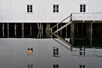 gallery : Reflections