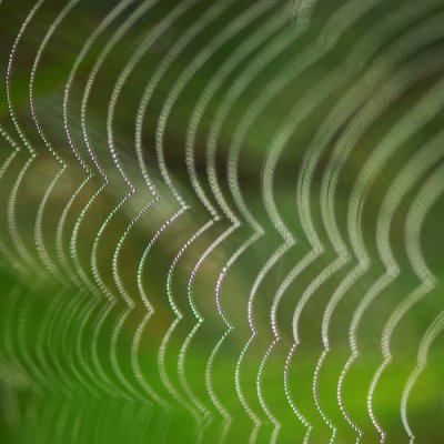 g4/61/988361/3/136944325.bA3n71y1.jpg