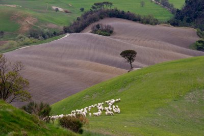 Tuscany, April 2012