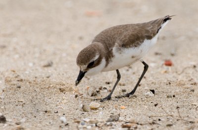 DSC_8105.jpg