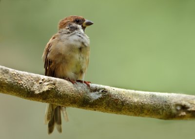DSC_5799.jpg