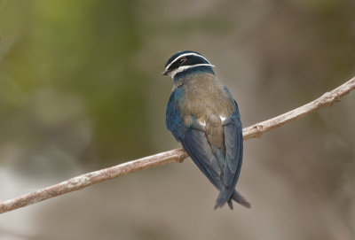 DSC_1690.jpg