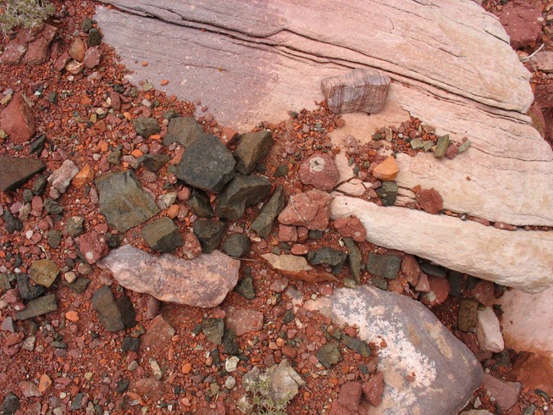 Detail, at Hance Rapid