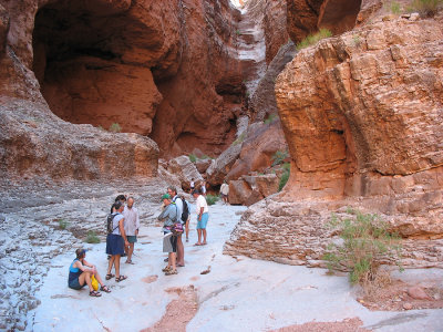 Nautiloid Canyon