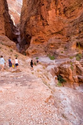 Nautiloid Canyon