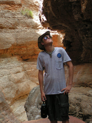 Glade, Saddle Canyon (AZ)
