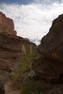 Mouth of Elves Chasm