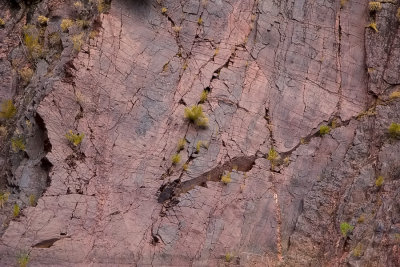 Wall Detail