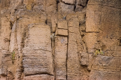 Limestone wall