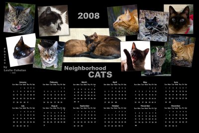 Cat Calendar 2008