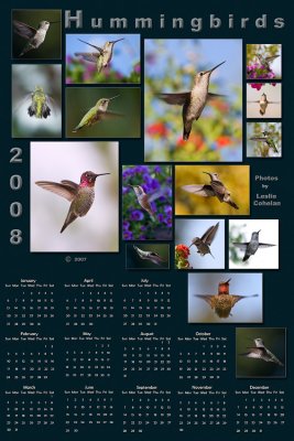 2008 Calendars