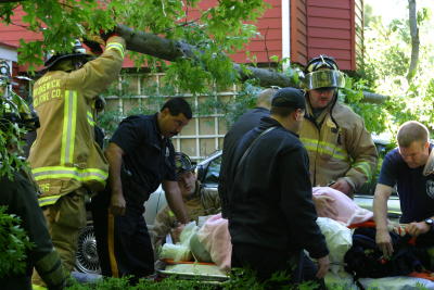 Fallen Tree, Man Injured (05-23-06)