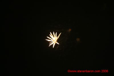 IMG_3825CM.jpg