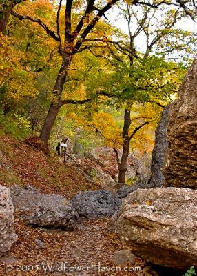 Fall Between the Rocks