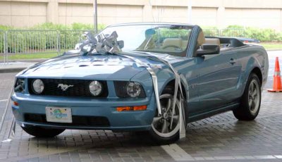 A New Fun Car